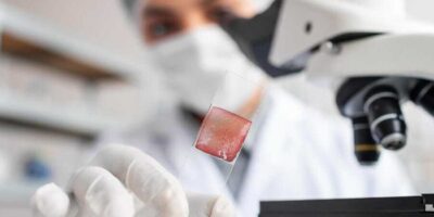 ¿Cuánto cobra un técnico de anatomía patológica?  salarios en el campo de la salud