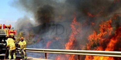 Sueldo de un Bombero Forestal en España: ¿Cuánto cobra y cómo se compara con otras profesiones?