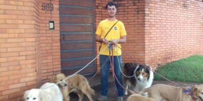 ¿Cuánto cobra un cuidador de perros por hora?  tarifas y beneficios de esta profesión apasionante