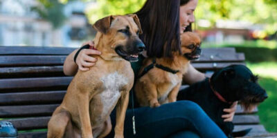¿Cuánto cobra un cuidador de perros? Descubre cuál es el salario promedio en esta profesión