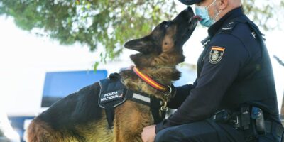 Cuánto gana un guía canino de la Policía Nacional: Revelamos sus salarios