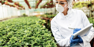 ¿Cuánto cobra un ingeniero agrónomo?  cifras salariales de esta profesión en detalle