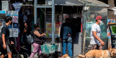 Descubre cuánto gana un paseador de perros en España y cómo convertirlo en tu profesión