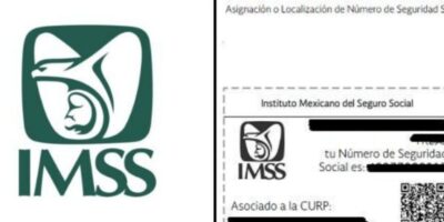 Cuánto cobra un gestor de la seguridad social:  salarios en esta profesión clave
